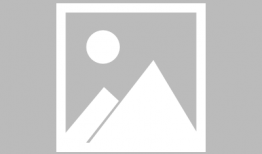 免费视频h,H系列精彩内容大盘点